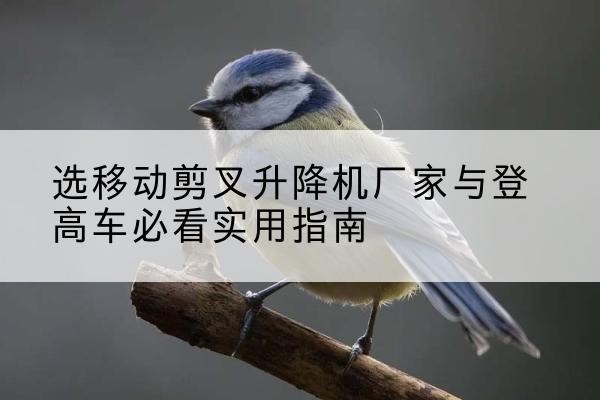 环江电动升降机厂家-选移动剪叉升降机厂家与登高车必看实用指南