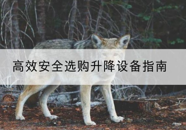 环江升降货梯厂家推荐-*安全选购升降设备指南