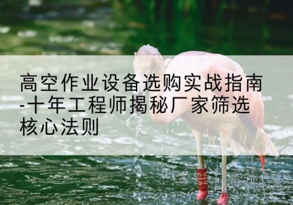 环江剪叉式升降机厂家-高空作业设备选购实战指南-十年工程师揭秘厂家筛选核心法则